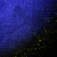 Image for article titled 10 Extreme--And Extremely Pretty--Close Ups of Bacteria and Plants